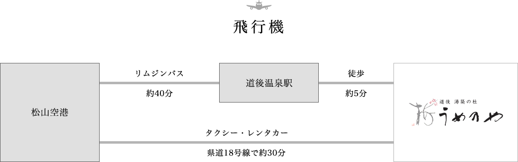 飛行機