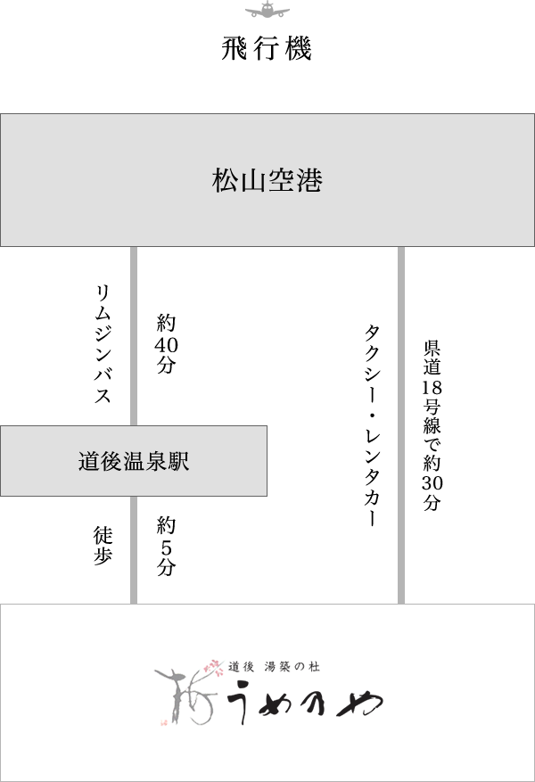 飛行機